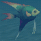 RainbowFish.gif